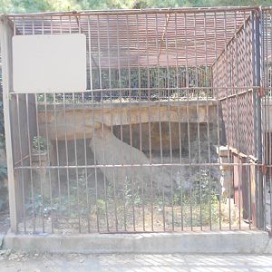 Former cat cage