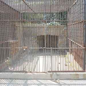 Former cat cage