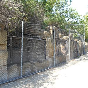 Former cage