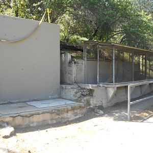 Former small animal displays