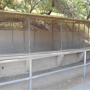 Former small animal displays