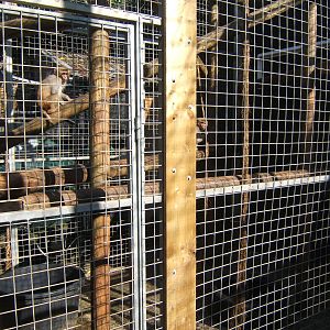 Jungle World Northern Ireland