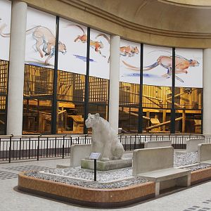 Inside Pavilion for big Cats, April 2015