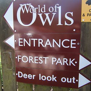World of Owls,Randalstown NI