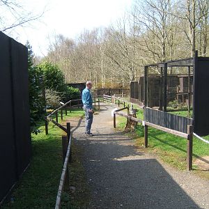 World of Owls,Randalstown NI