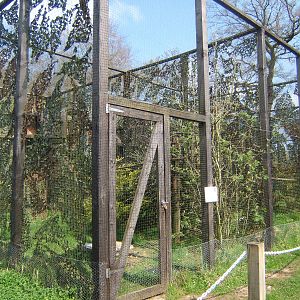 World of Owls,Randalstown NI