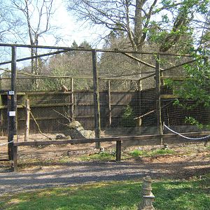 World of Owls,Randalstown NI