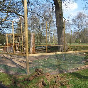 World of Owls,Randalstown NI