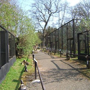 World of Owls,Randalstown NI