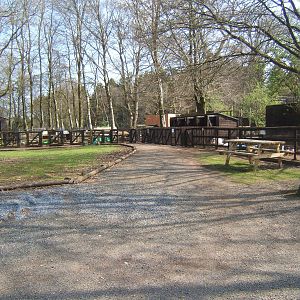 World of Owls,Randalstown NI