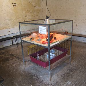 The Ark Open Farm NI