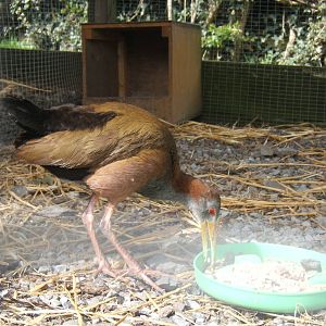The Ark Open Farm NI