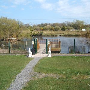 The Ark Open Farm NI