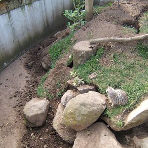 The Ark Open Farm NI