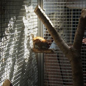 The Ark Open Farm NI