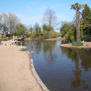 View of captive area