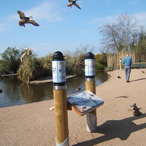 View of captive area