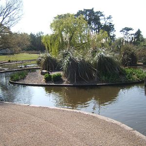 View of captive area