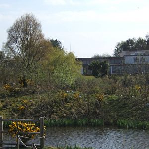 View of main building from wild area