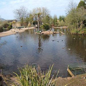 View of captive area