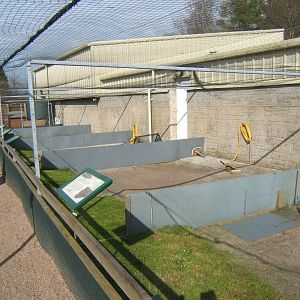 View of rearing area