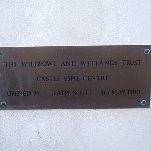 Opening plaque