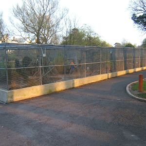 Ward Park Aviarys at Bangor Northern Ireland