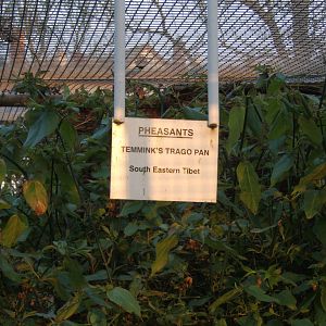 Ward Park Aviarys at Bangor Northern Ireland