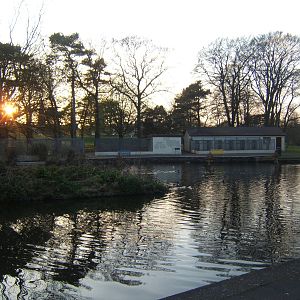 Ward Park Aviarys at Bangor Northern Ireland