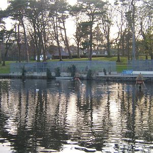 Ward Park Aviarys at Bangor Northern Ireland