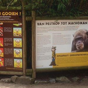 Chimpansee warnings (April 19th, 2015)