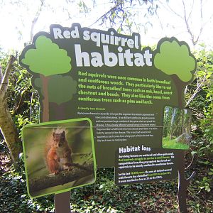 Red Squirrel sign