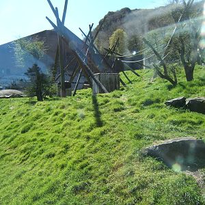 View of Chimp enclosure