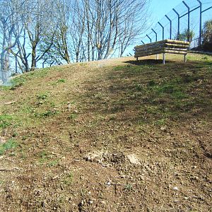 View of current Cheetah enclosure