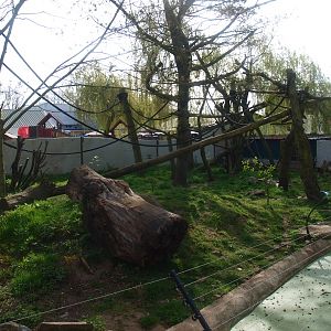 Lemur/Otter exhibit (April 19th, 2015)