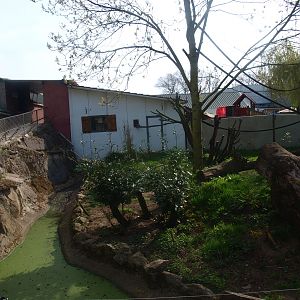 Lemur/Otter exhibit (April 19th, 2015)