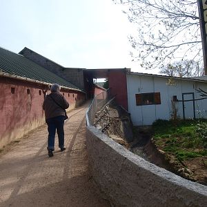 Sloped path (April 19th, 2015)