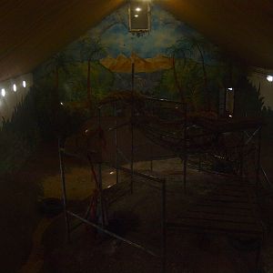 Chimpansee indoor housing (April 19th, 2015)