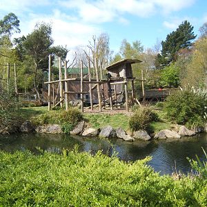 View of Sulawesi Macaques Island