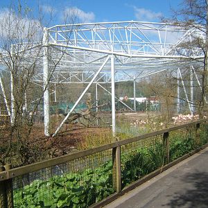 View of new Flamingo Aviary