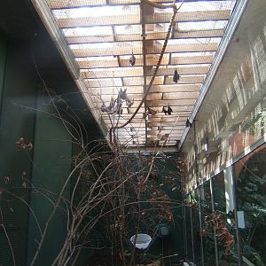 View of Rodrigues Bat enclosure