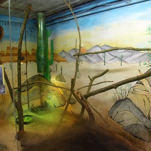 Reptile House (April 19th, 2015)