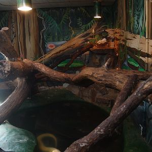 Reptile House (April 19th, 2015)