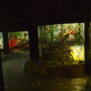 Reptile House (April 19th, 2015)