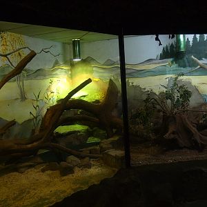 Reptile House (April 19th, 2015)