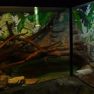 Reptile House (April 19th, 2015)