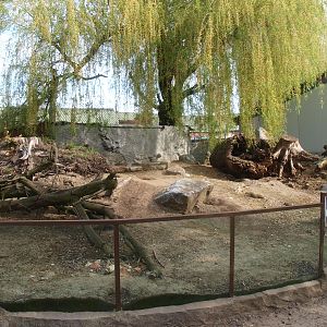 Exhibit for black-tailed prairie dogs