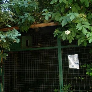 Old raccoon cage (picture taken July 4th, 2009)