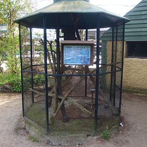 Cage for Siberian chipmunks (April 19th, 2015)