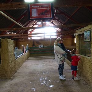 Petting zoo building, inside (April 19th, 2015)